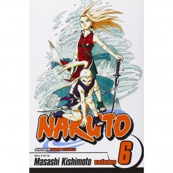 Naruto, Vol. 6: Predator