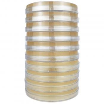Dispositivo de Cultivo Microbiano con Agar de Papa y Dextrosa