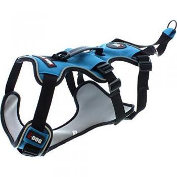 I-dog Harnais Confort Balade et canicross Loisirs, Harnais Polyvalent très Confortable