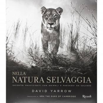 Nella natura selvaggia. Incontri ravvicinati con animali e paesaggi da salvare. Ediz. illustrata