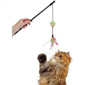 Katzenangel DAY AND NIGHT mit Leuchtball und Federn von Karlie