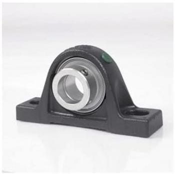 Alloggiamento Plummer Block Rasey20 N (Fissaggio 20 mm)
