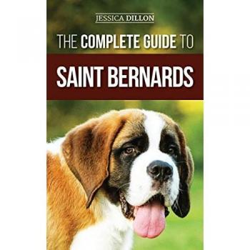 The Complete Guide to Saint Bernards