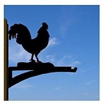 Chickenshell Basket Support