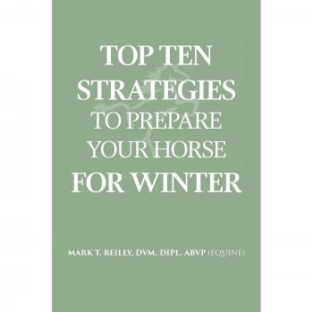 Top Ten Strategies To Prepare Your Horse For Winter