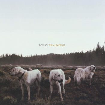 Albatross [Vinyl LP]