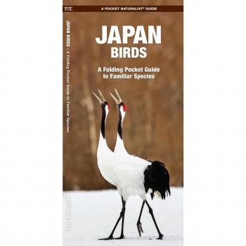 Japan Birds : A Folding Pocket Guide to Familiar Species