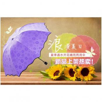 Parapluie Parasol Élégant 3 Pli