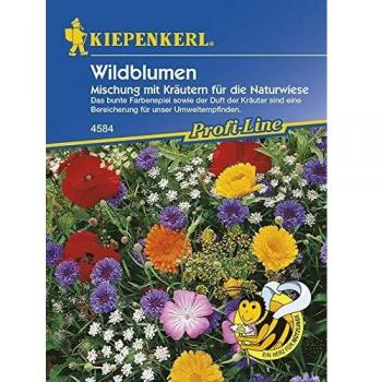 Meadow Flower and Herb Seed Mix