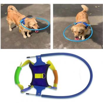 Blind Dog Anti-Collision Collar