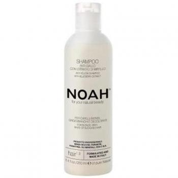 Noah Champú Antiamarillo 250ml