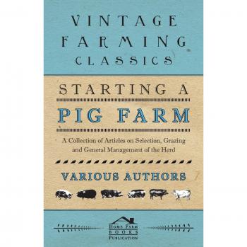 Starting a Pig Farm