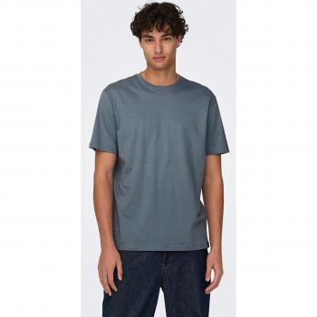 ONLY & SONS T-Shirt mit Rundhalsausschnitt »ONSMAX LIFE«