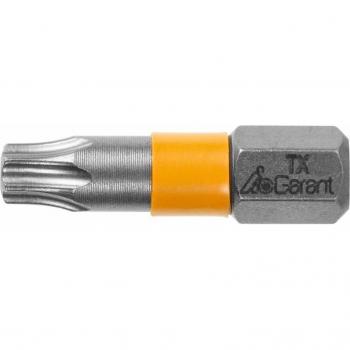 Bit Torx 1/4 pollice con zona di torsione