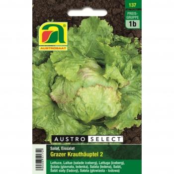 Grazer Krauthäuptel 2 – Laitue Iceberg