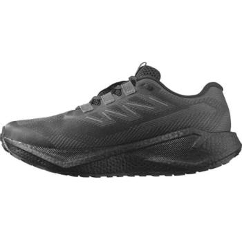 Chaussures Salomon GORE-TEX Aero Blaze 3