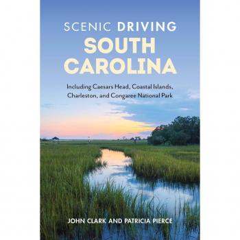 Scenic Driving South Carolina, by Patricia Pierce