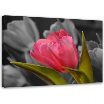 Décoration Murale Tulipe Rouge 60x40