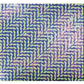 Merriweather Post Pavilion (15th Anniversary Ed)