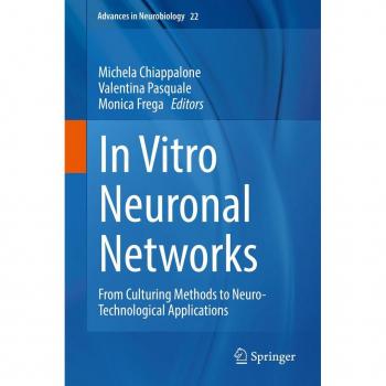 In Vitro Neuronal Networks