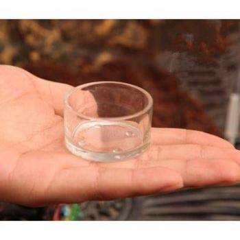 Compartment Tray for Snakes