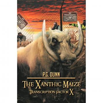 The Xanthic Maize: Transcription Factor X