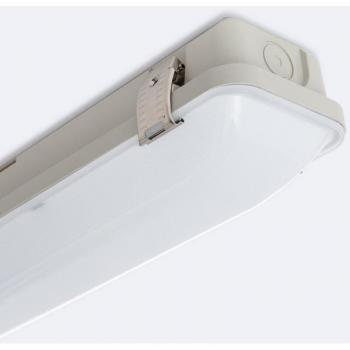Réglette Étanche 60W 150 cm Haute Luminosité 5000K