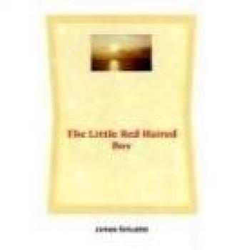 The Little Red Haired Boy