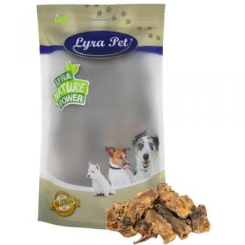 Lyra Pet