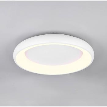 TRIO Leuchten LED Deckenleuchte CARDONA runde LED Deckenlampe Büro Ø 62 cm 4400 Lumen 38 W dimmbar Dimmfunktion LED fest integriert warmweiß – kaltweiß CCT Lichtfarbe einstellbar 2300/3000/4000K auch Wandmontage möglich