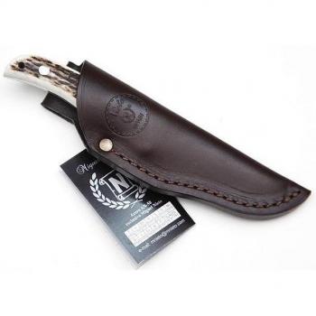 Cuchillo Coyote 1069 de 18 cm – Mango Asta Ciervo, Hoja 8 cm, Funda Premium