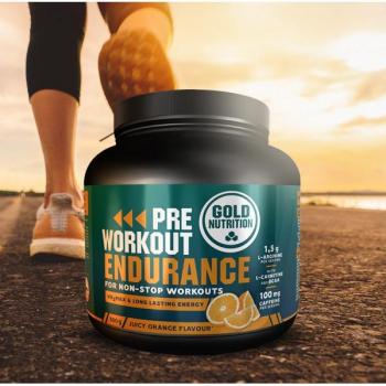 Batido de Recuperação Muscular GoldNutrition 900g Chocolate