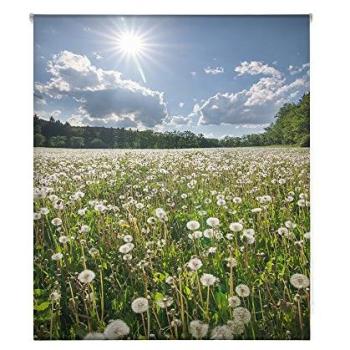 Estor Enrollable Paisajes Digitales HSCP5048