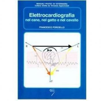 Elettrocardiografia nel cane, nel gatto e nel cavallo