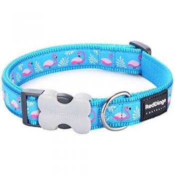 Collier pour Chien
