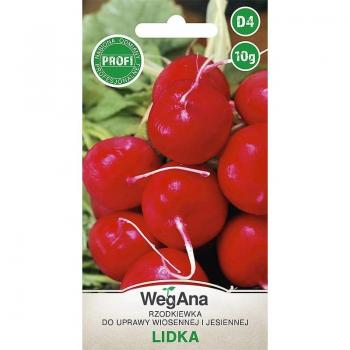 Radis Lidka 10g