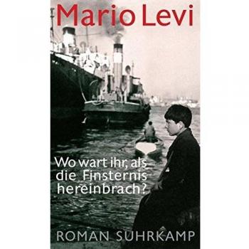 Wo wart ihr, als die Finsternis hereinbrach: Roman