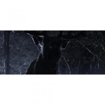 Bambi – Retour de la Justice