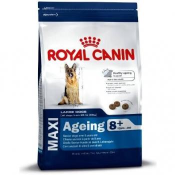 Royal Canin Maxi Ageing 8+ Pienso Perro en Edad Avanzada de Razas Tamaño Grande