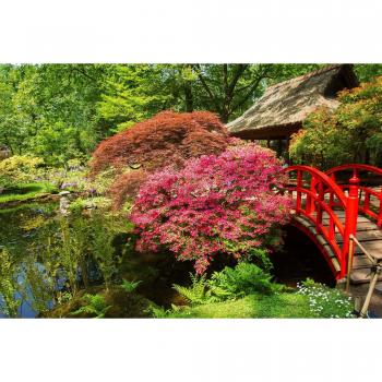 Papermoon Fototapete »Parklandschaft: Blumen und Natur«