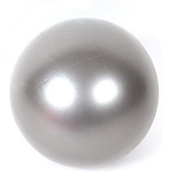 25cm Gym Balance Ball