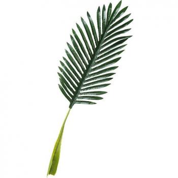 Accèsoires Photographique Feuilles de Jungle