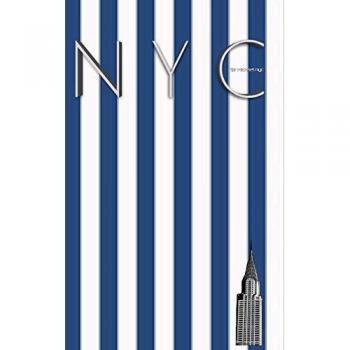 NYC Chrysler building blue and white stipe grid page style $ir Michael Limited edition