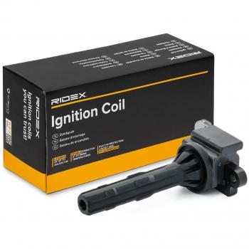 Bobina de Encendido RIDEX 689C0423 Pro – Solución Profesional para Vehículos Comerciales
