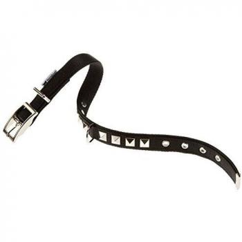 Collare in nylon con borchie Ferplast