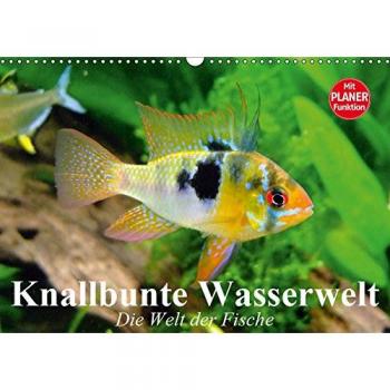 Knallbunte Wasserwelt. Die Welt der Fische