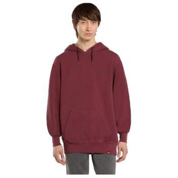 Dickies Plentywood Hoodie DK0A866D L161