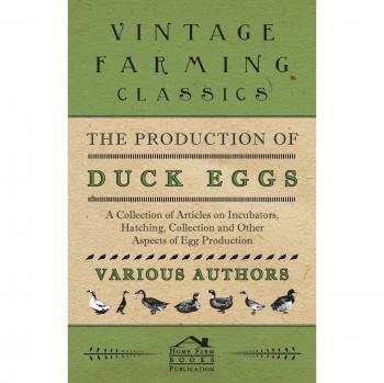 The Production of Duck Eggs