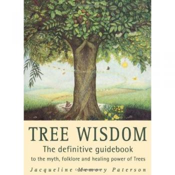 Tree Wisdom : The Definitive Guidebook to the Myth, Folklore and Healing Power of Trees