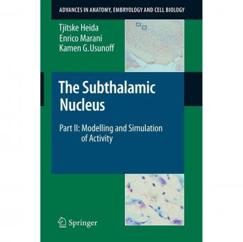 The Subthalamic Nucleus: Part II: Modelling and Simulation of Activity